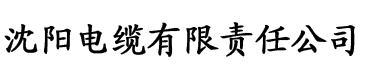 京洛再无佳人3第三部乔薇安电缆厂logo